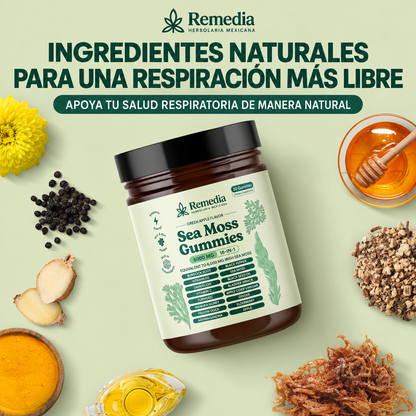 Gomitas Sea Moss 16 en 1 Ayuda a Eliminar el Exceso de Mucosidad